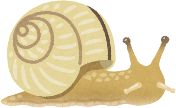 Watercolor Illustration of a Snail