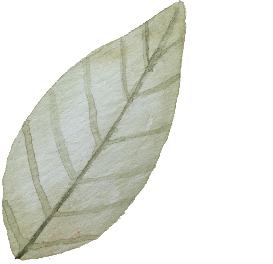 water color leaf